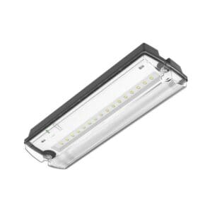 Noodverlichting incl. pictogrammen 3 W IP66 6500K