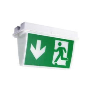 Noodverlichting 5.5 W IP65 6500K