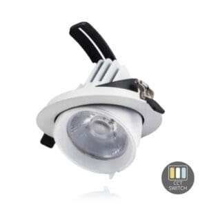 Kantelbare Downlight 28 W CCT Switch Ø145 Wit