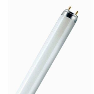 Osram T8 Lumilux | 36W | 840 | 100cm