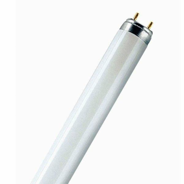 Osram T8 Lumilux | 36W | 840 | 100cm