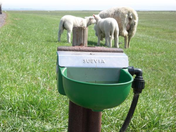 Suevia Drinkbak model 130P met kunstof vlotter ½" - Afbeelding 3