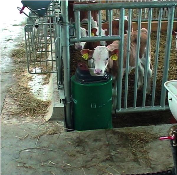 Suevia Drinkbak model 43 A verwarmbaar 80 watt 24 volt - Afbeelding 4