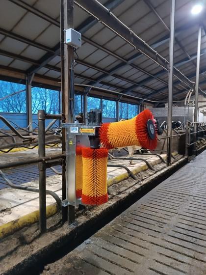 Suevia Koeborstel EASYCLEANER DUO, 230 V 50 Hz - Afbeelding 5