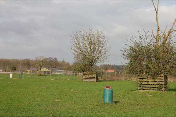 Suevia Drinkbak model 43 A verwarmbaar 80 watt 24 volt - Afbeelding 5